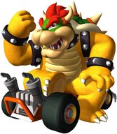 !R Bowser Mario_(series) Mario_Kart_(series) Mario_Kart_DS // 1024x1176 // 168.1KB