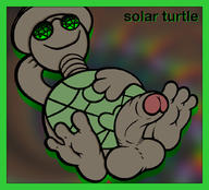 !A 01 2019 @KetRalus solar_turtle turtle // 1024x928 // 271.6KB