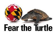 !R Testudo University_of_Maryland turtle turtle_(animal) // 500x336 // 46.7KB