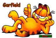 !R Garfield Garfield_(series) cat // 500x339 // 47.5KB