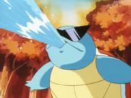 !R Pokemon Squirtle animated turtle // 500x375 // 164.2KB