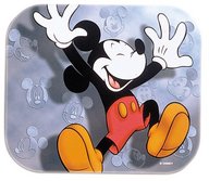 !R Disney Mickey // 500x435 // 49.9KB
