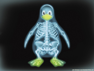 !R Linux_penguin // 1920x1450 // 683.0KB