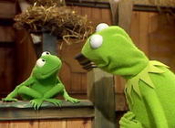 !R Kermit_the_Frog Muppet Robin_the_Frog Robinkermit frog // 300x219 // 68.1KB