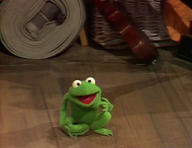 !R Muppet Robin_the_Frog Robinfloor frog // 619x477 // 69.9KB