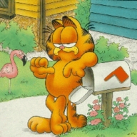 !R Garfield Garfield_(series) cat // 244x244 // 42.2KB