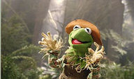 !R Kermit_the_Frog Muppet // 381x226 // 21.5KB