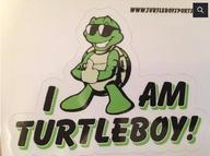 !R Turtleboy turtle // 739x552 // 507.4KB