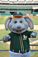 !R Oakland_Athletics Stomper elephant mascot // 2592x3872 // 2.4MB