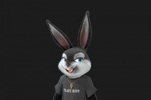 !R 1 Playboy_Rabbitar rabbit // 800x533 // 20.9KB