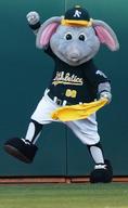 !R Oakland_Athletics Stomper elephant mascot // 500x815 // 625.0KB
