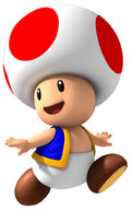 !R Mario_(series) Toad_(Mario) // 646x1024 // 52.8KB