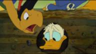 !R Donald_Duck Troubadour dis duck turtle // 185x104 // 34.9KB