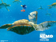 !R Crush Finding_Nemo turtle // 800x600 // 114.0KB