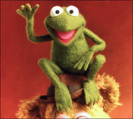 !R Muppet Robin_the_Frog Robinfrog frog // 443x395 // 35.7KB