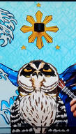!R bird non-character owl // 1049x1849 // 1.1MB